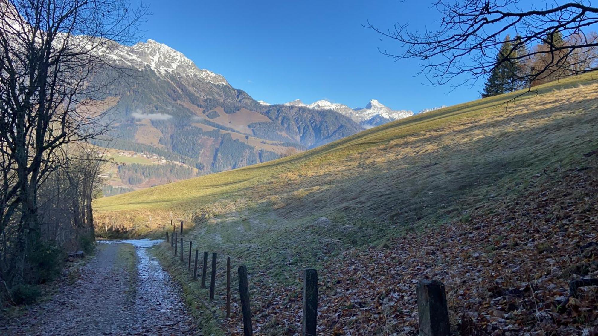 Apartment Hoerlbauer-leogang