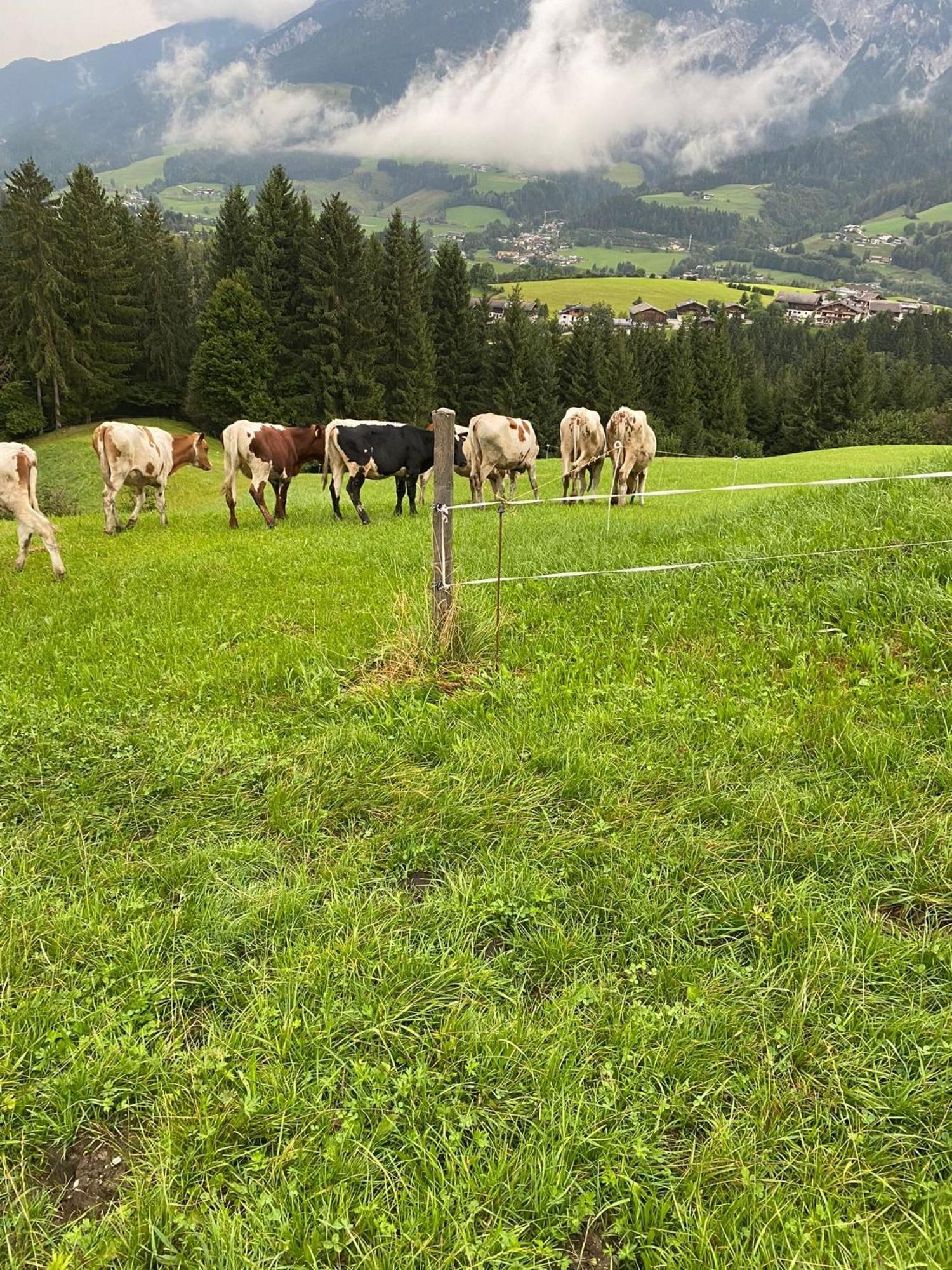 Hoerlbauer-leogang