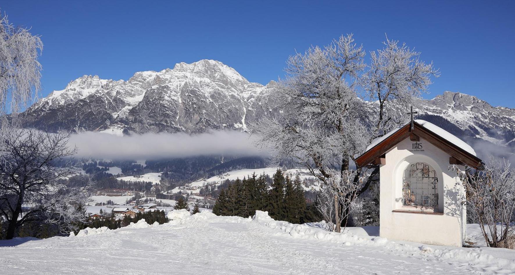 Apartment Hoerlbauer-leogang Leogang
